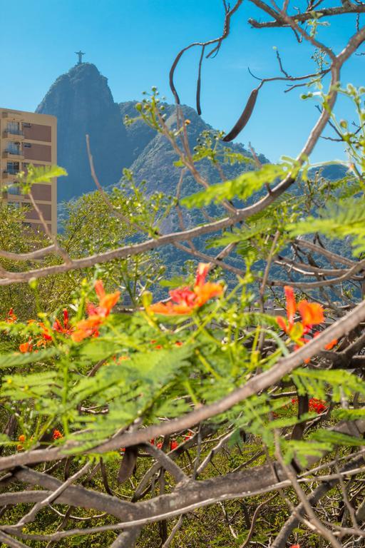 Rio Nature Hostel リオデジャネイロ 部屋 写真