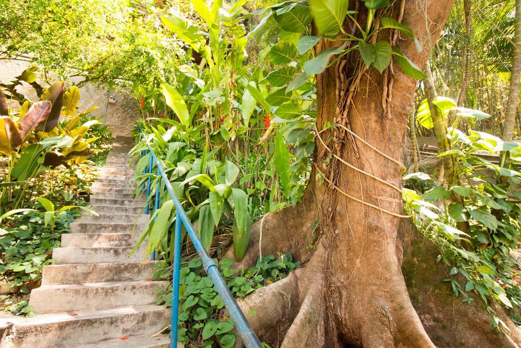Rio Nature Hostel リオデジャネイロ エクステリア 写真
