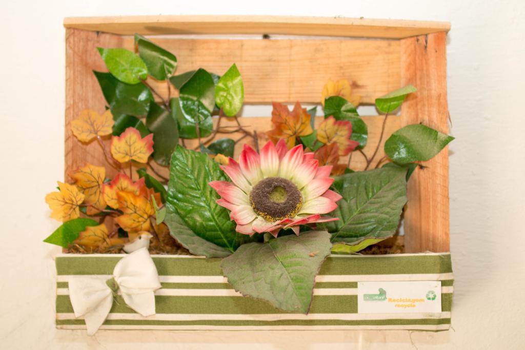 Rio Nature Hostel リオデジャネイロ エクステリア 写真